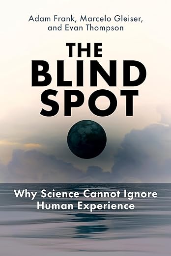The Blind Spot book cover