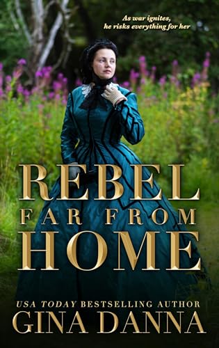 Rebel Far From Home: An American Civil War Novel