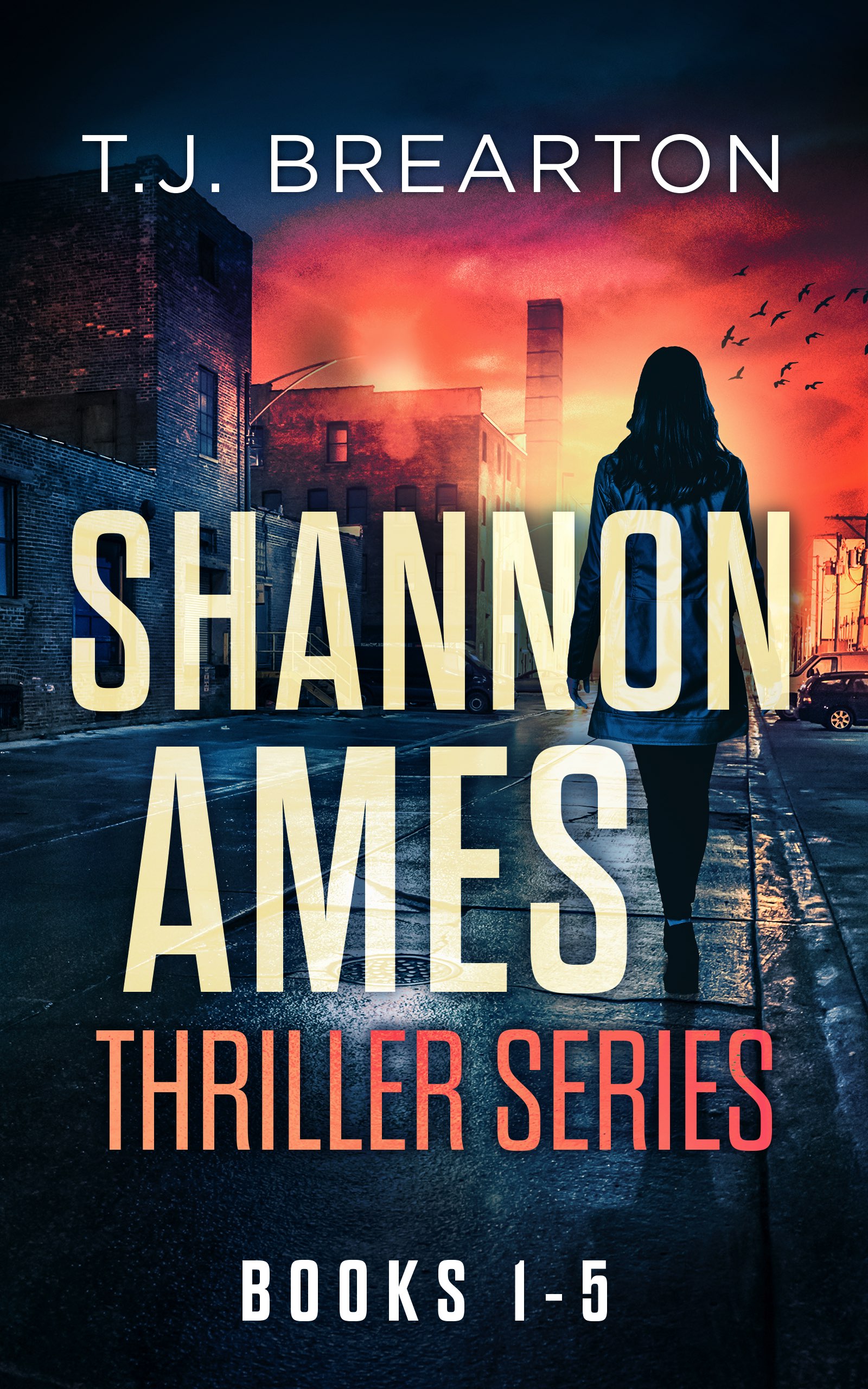 Shannon Ames Thriller Series Box Set 1-5