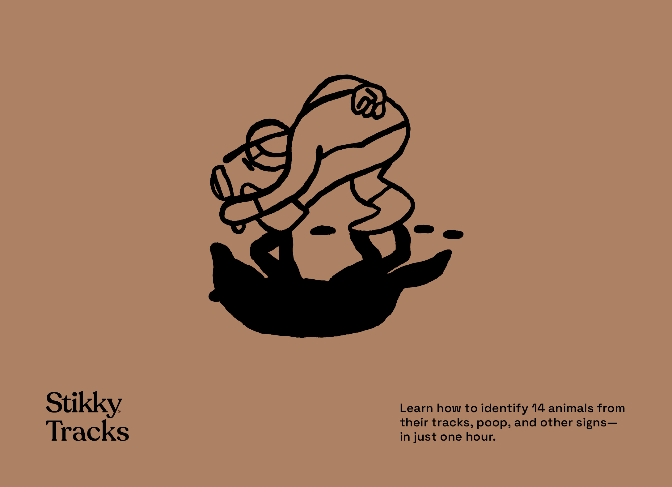 Stikky Tracks: Learn how to identify 14 animals from their tracks, poop and other signs — in just one hour. Get your copy at www.stikky.com.