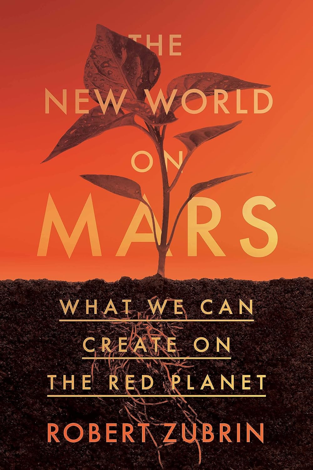 The New World on Mars: What We Can Create on the Red Planet