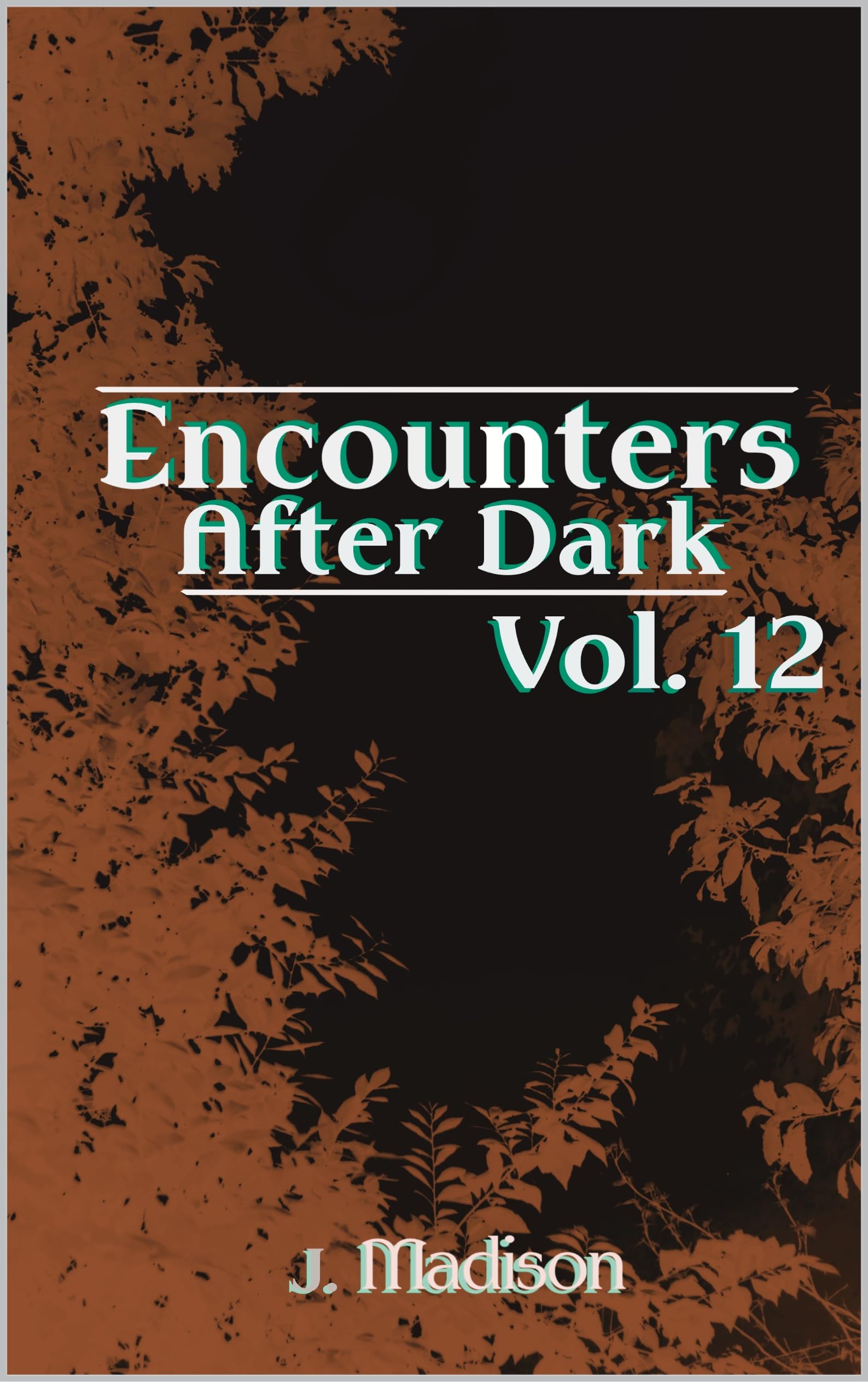 Encounters After Dark: Volume 12