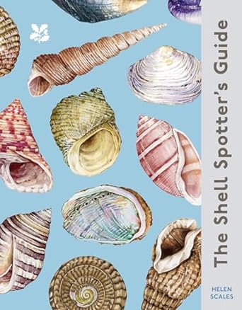 The Shell-spotter’s Guide