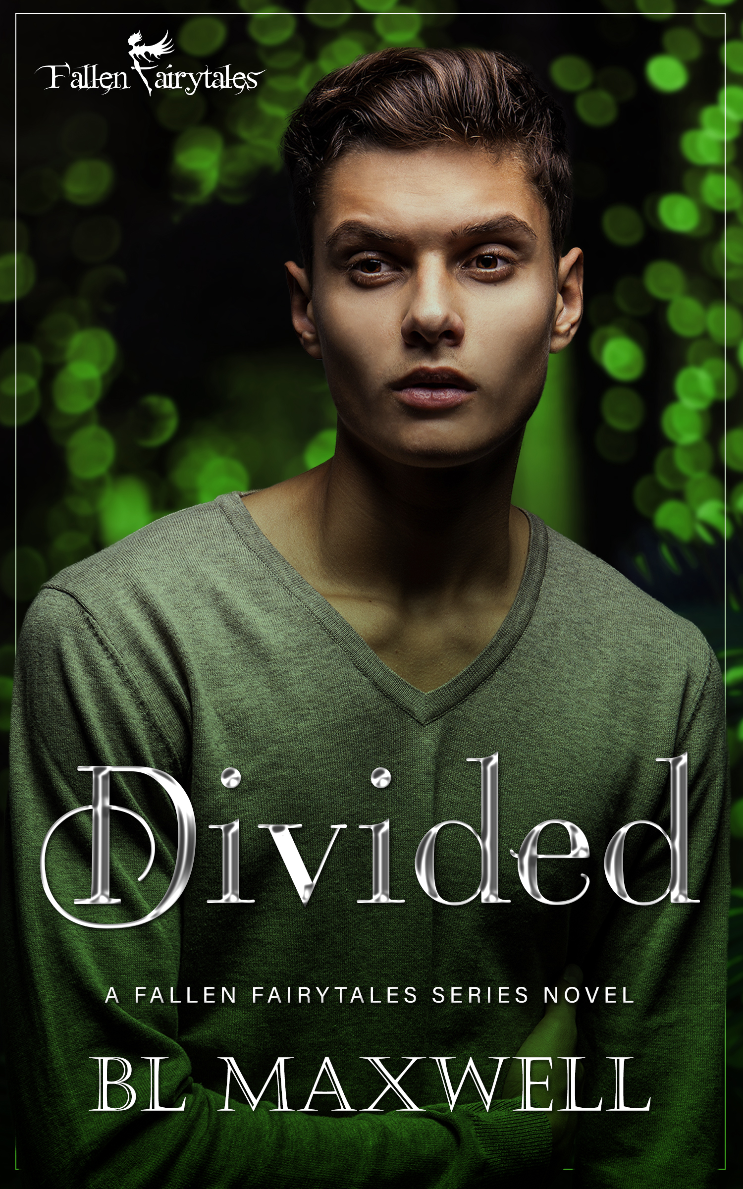 Divided book cover