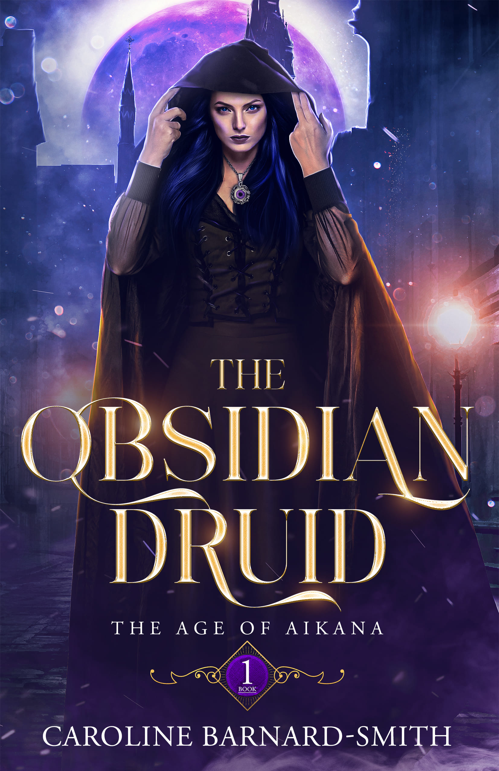The Obsidian Druid book cover