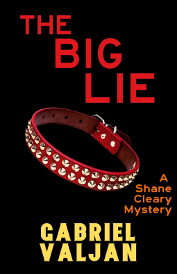 The Big Lie book cover