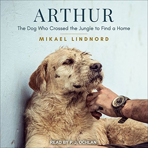 Arthur: The dog who crossed the jungle to find a home