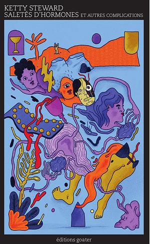 Saletés d'hormones et autres complications book cover