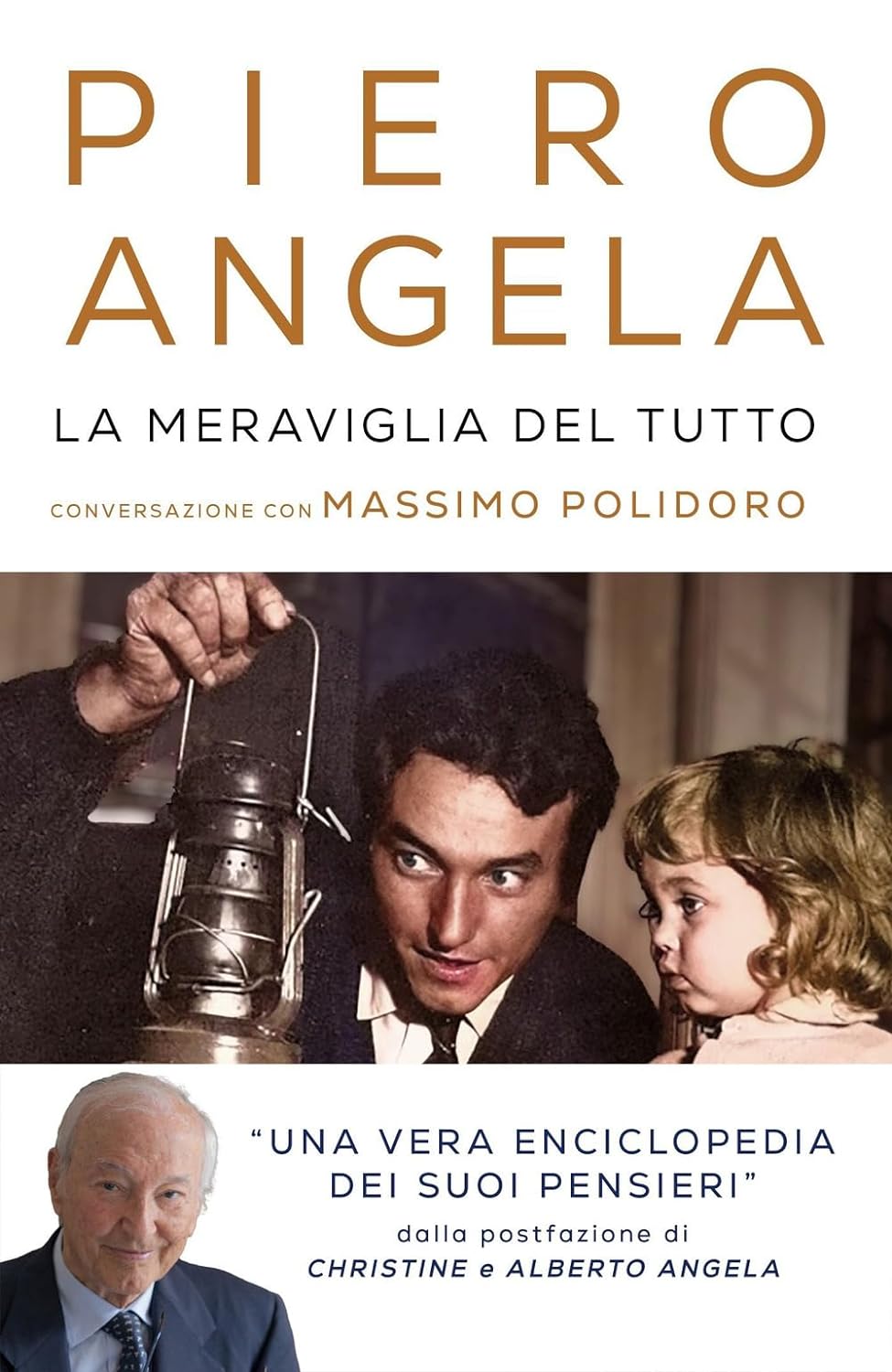 La meraviglia del tutto book cover