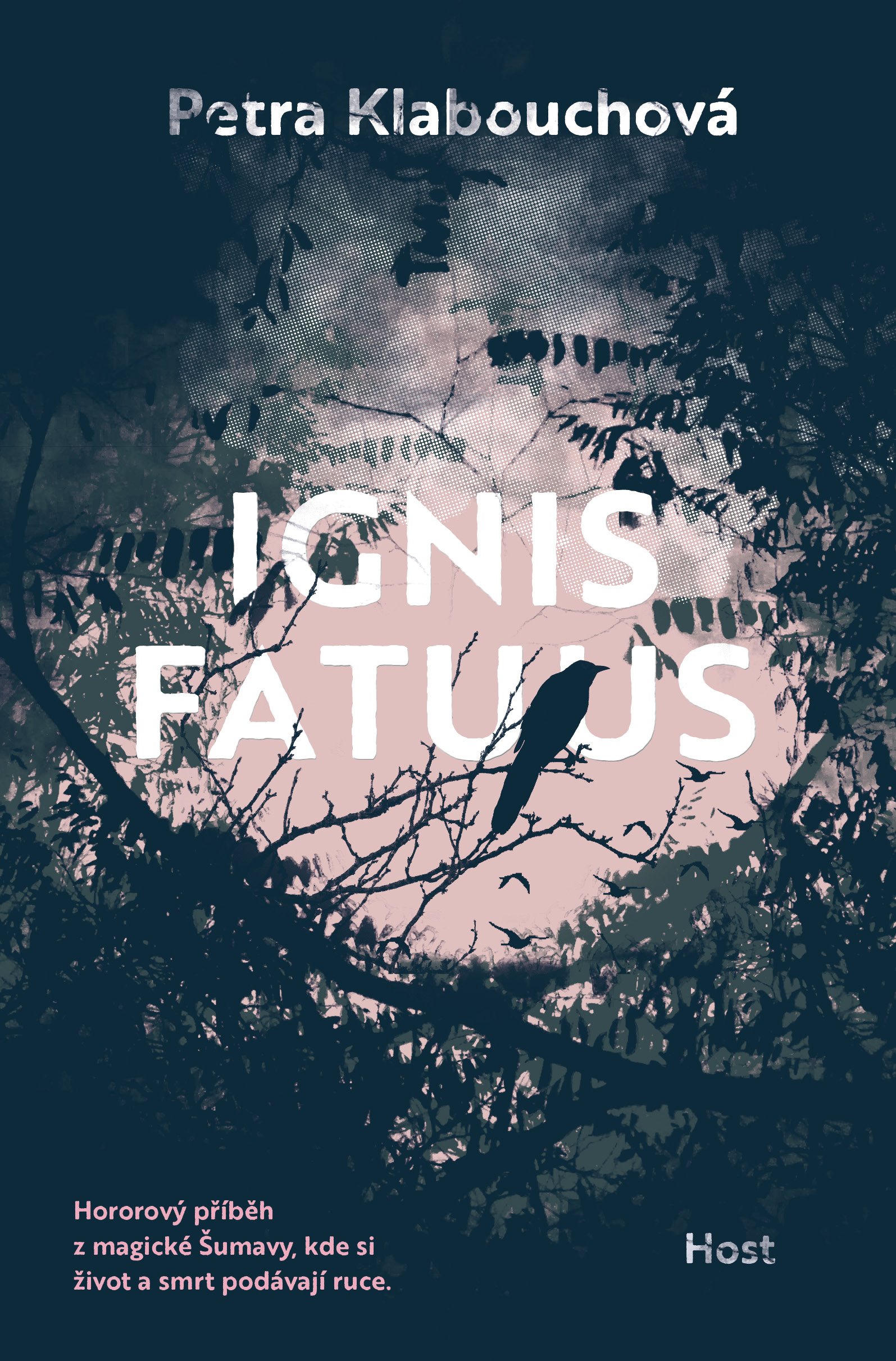 Ignis fatuus book cover