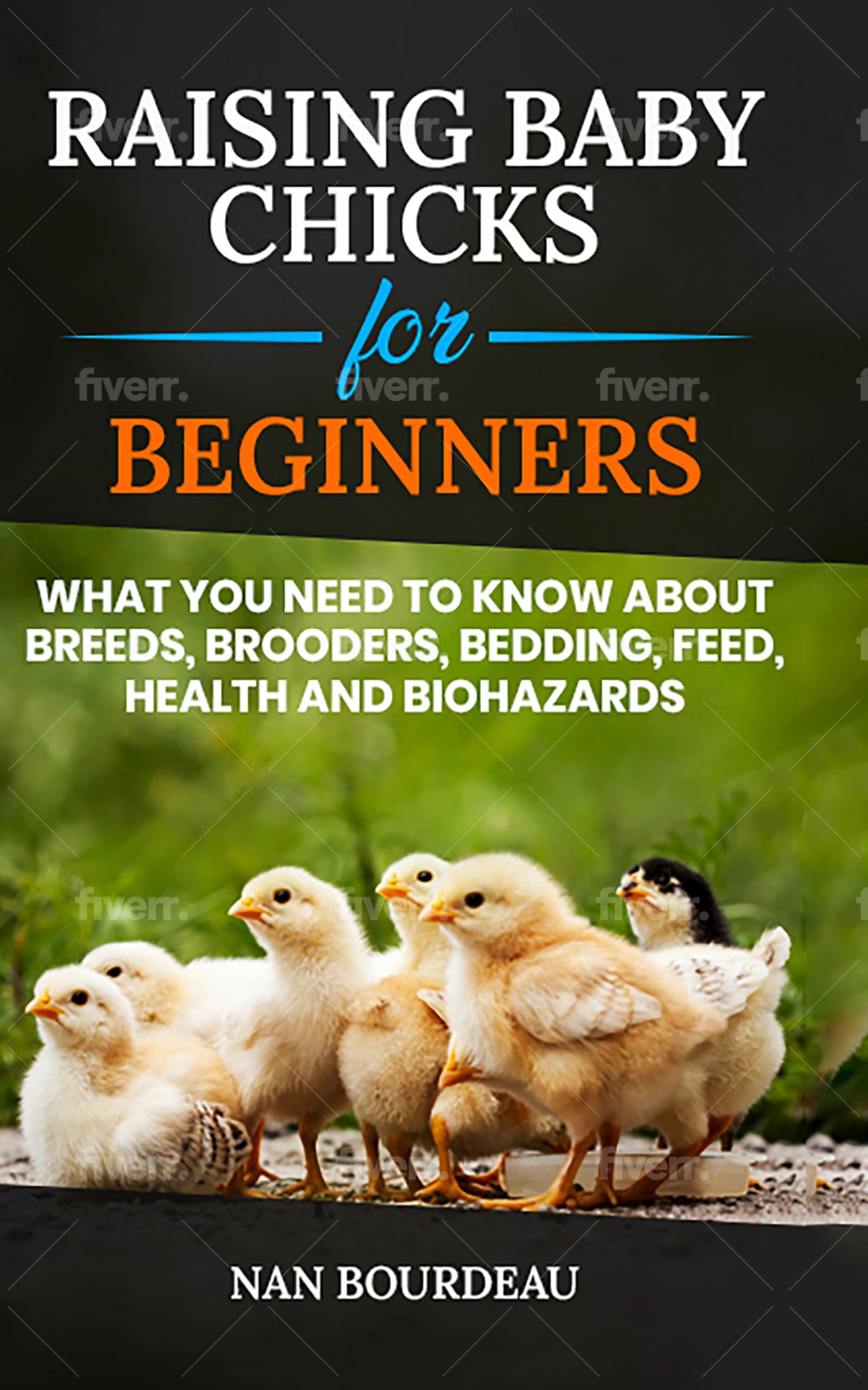 Raising Baby Chicks for Beginners: What you need to know about breeds, brooders, bedding, feed, health & biohazards