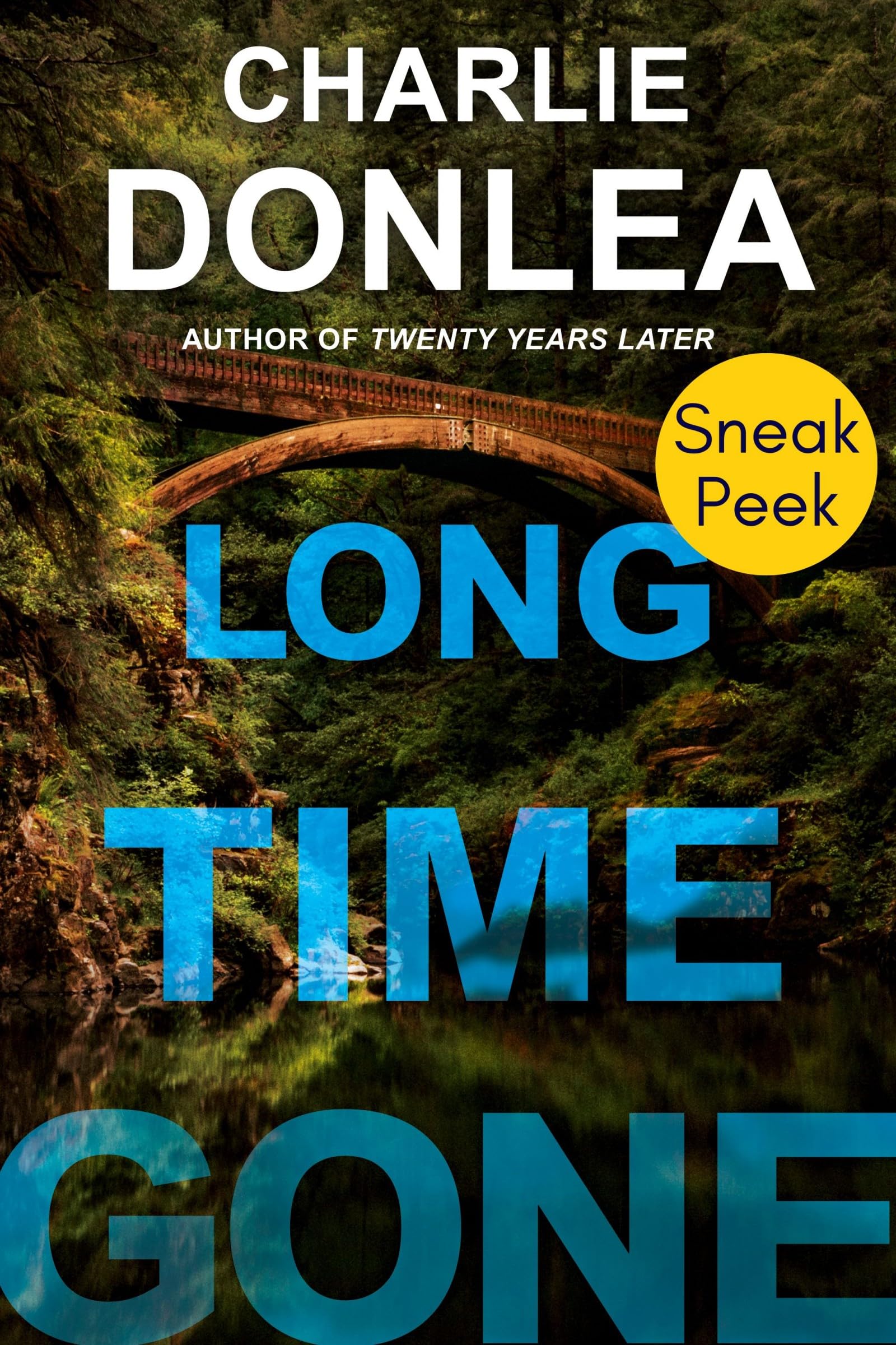 Long Time Gone book cover