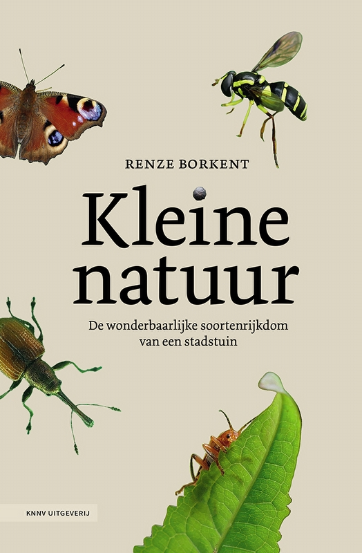 Kleine natuur: De wonderbaarlijke soortenrijkdom van een stadstuin