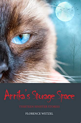 Annika's Storage Space: Thirteen Sinister Stories