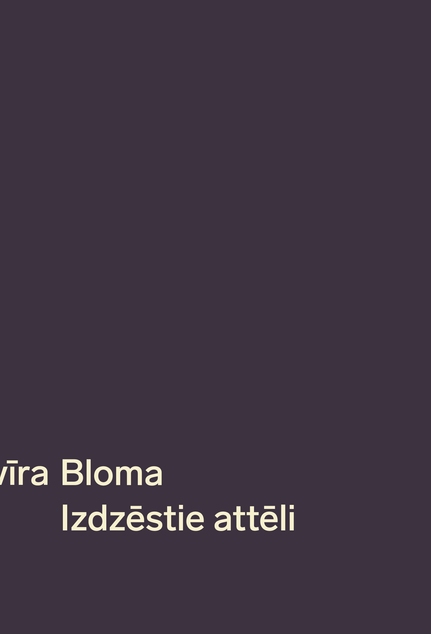 Izdzēstie attēli book cover