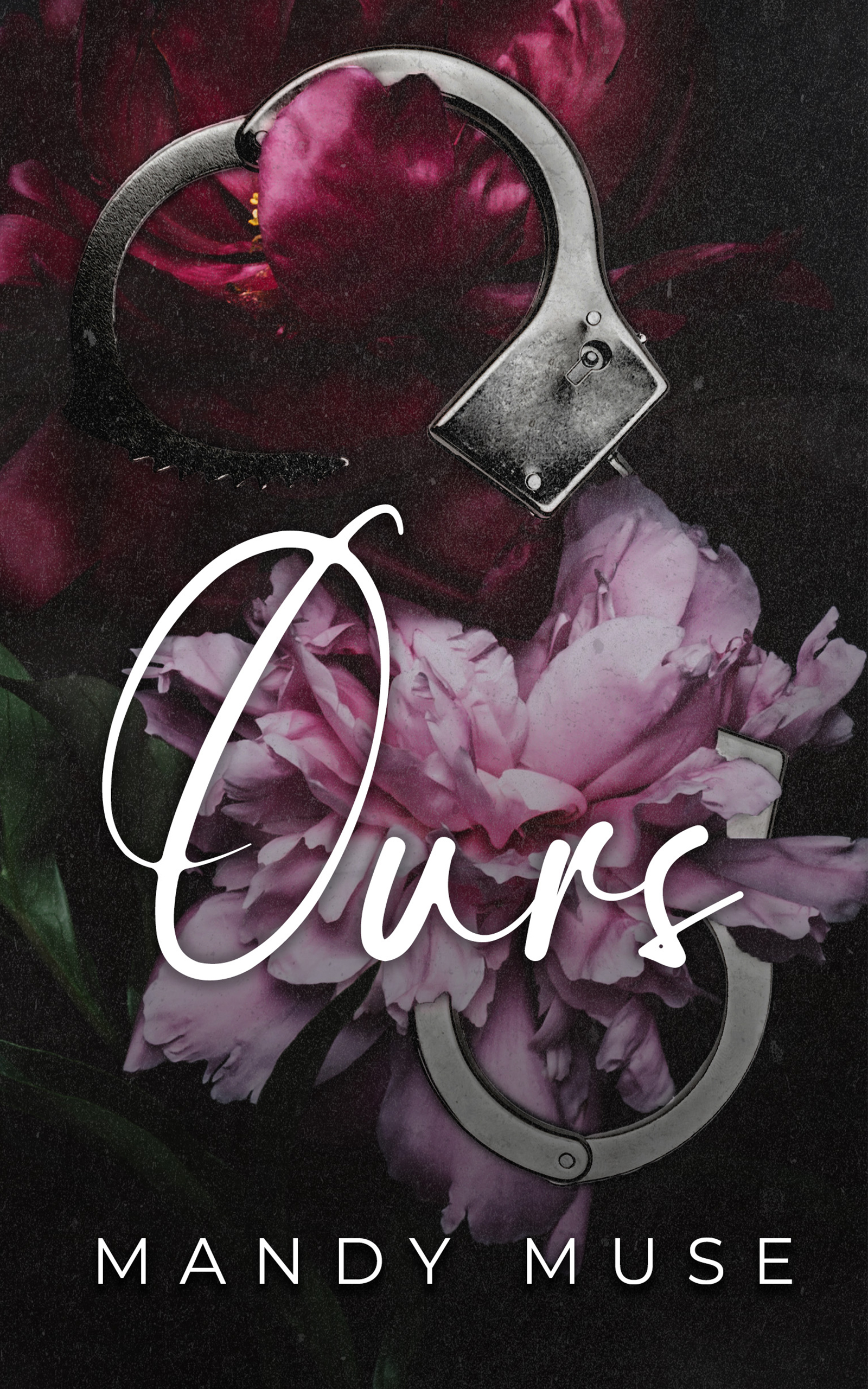 Ours book cover
