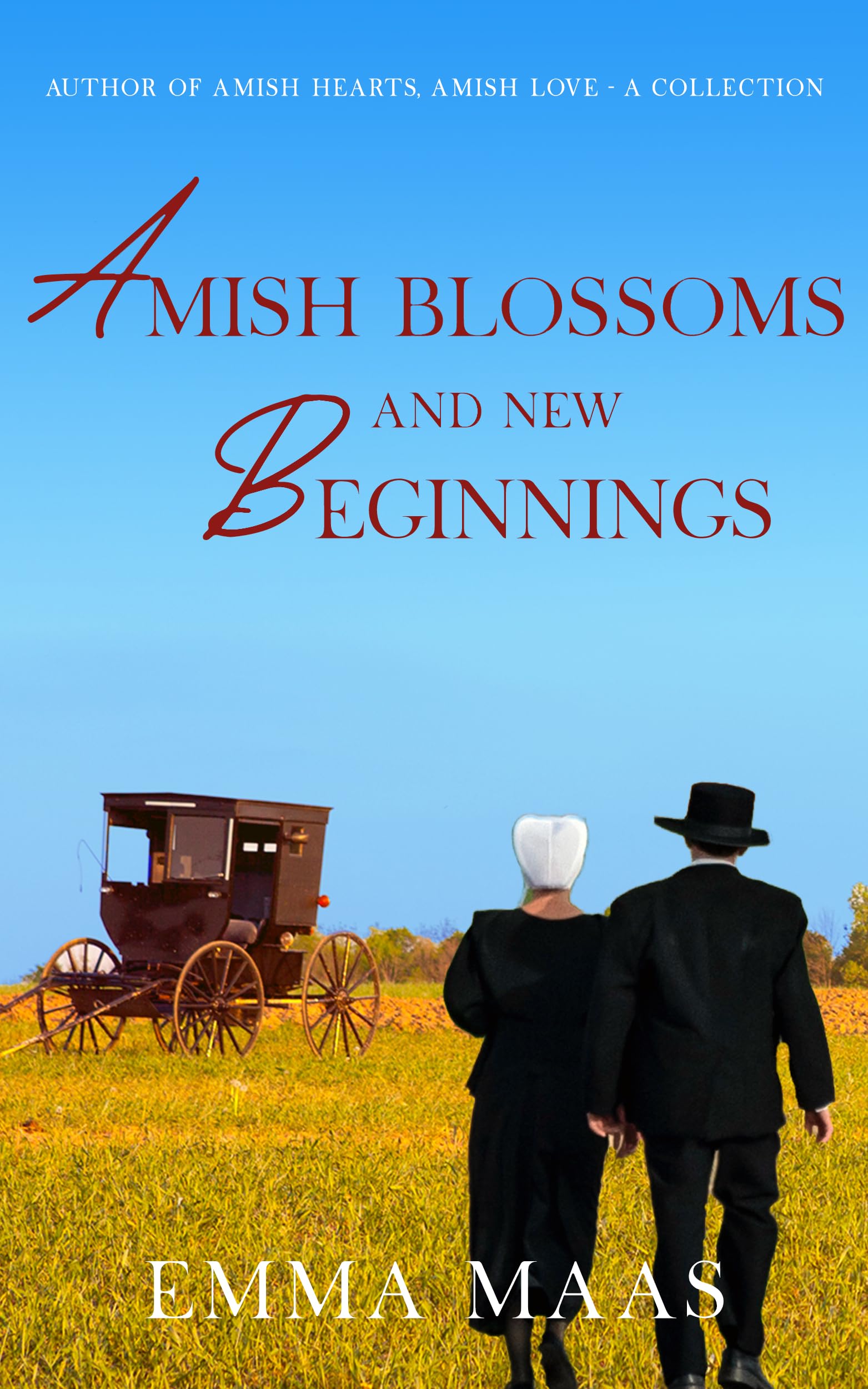 Amish Blossoms and New Beginnings