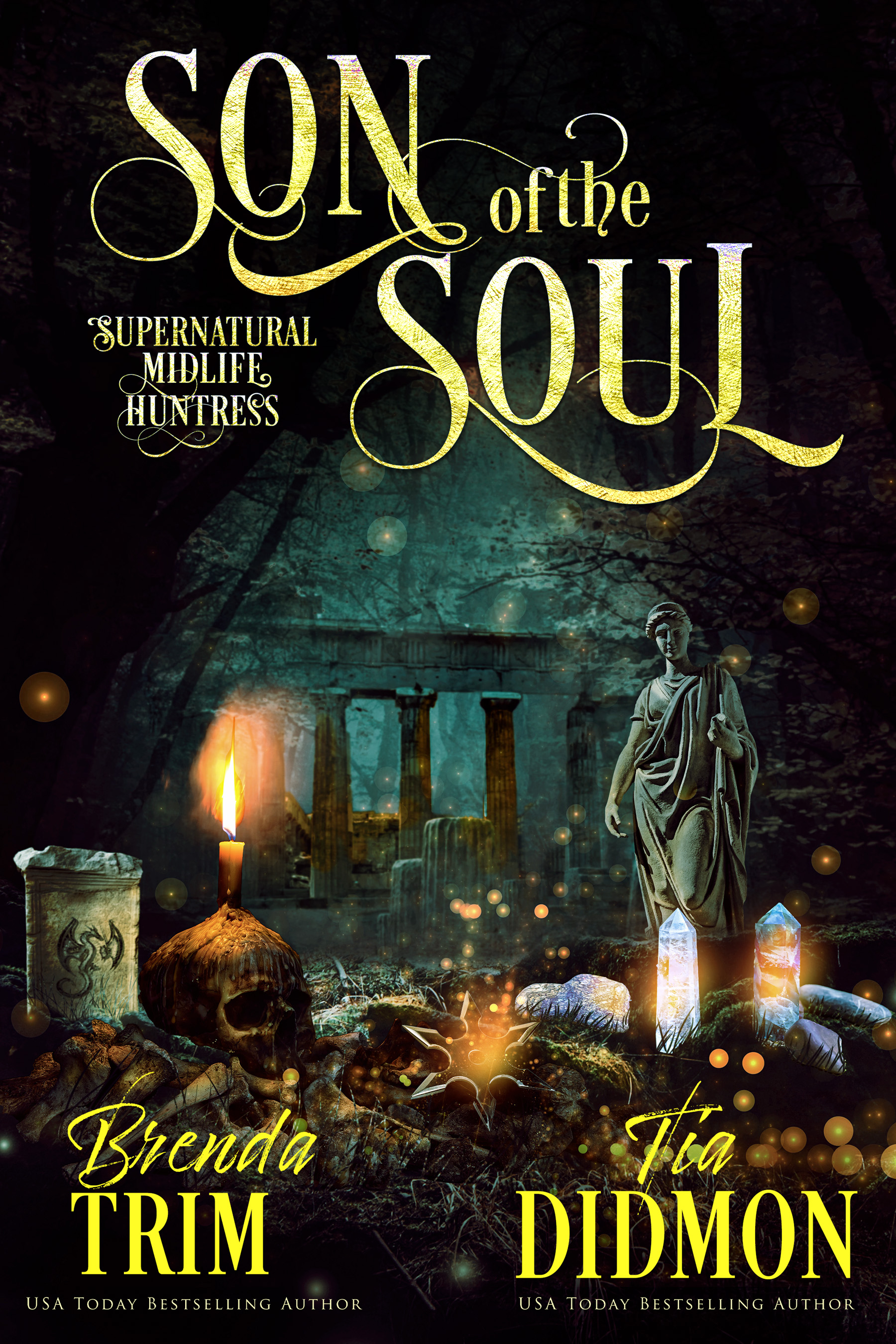 Son of the Soul book cover