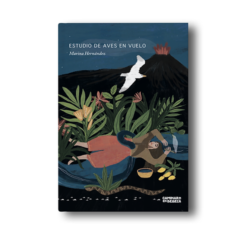 Estudio de aves en vuelo