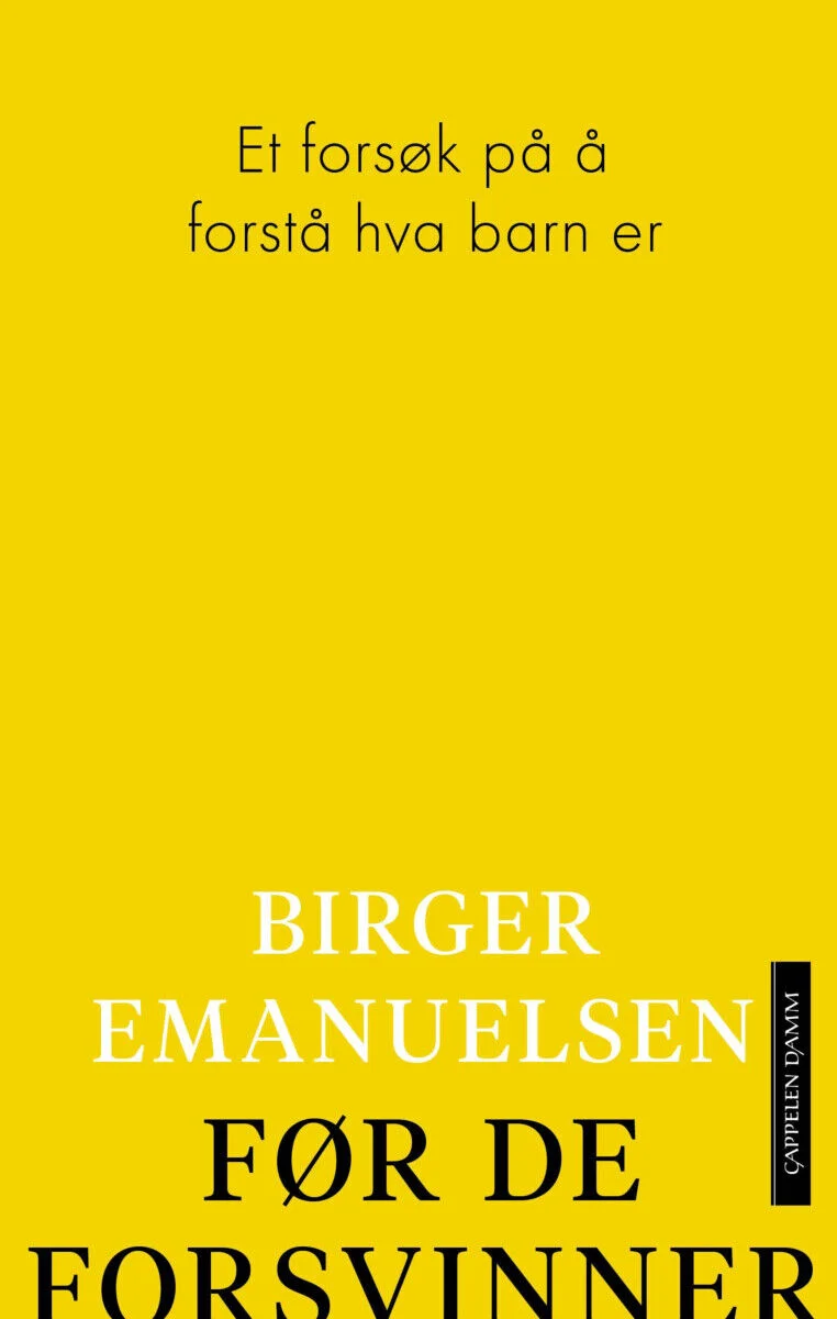Før de forsvinner - et forsøk på å forstå hva barn er
