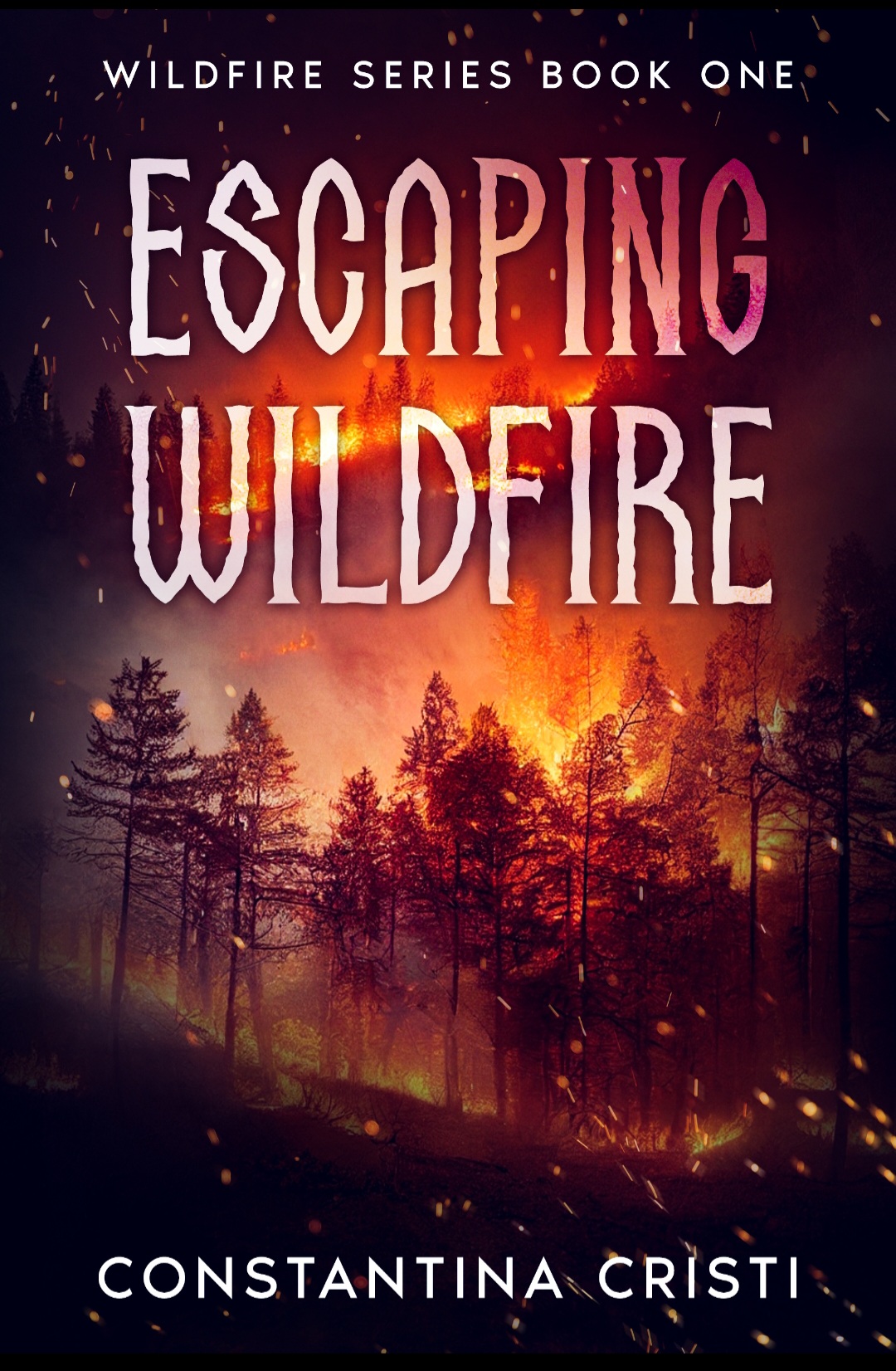 Wildfire book cover 1