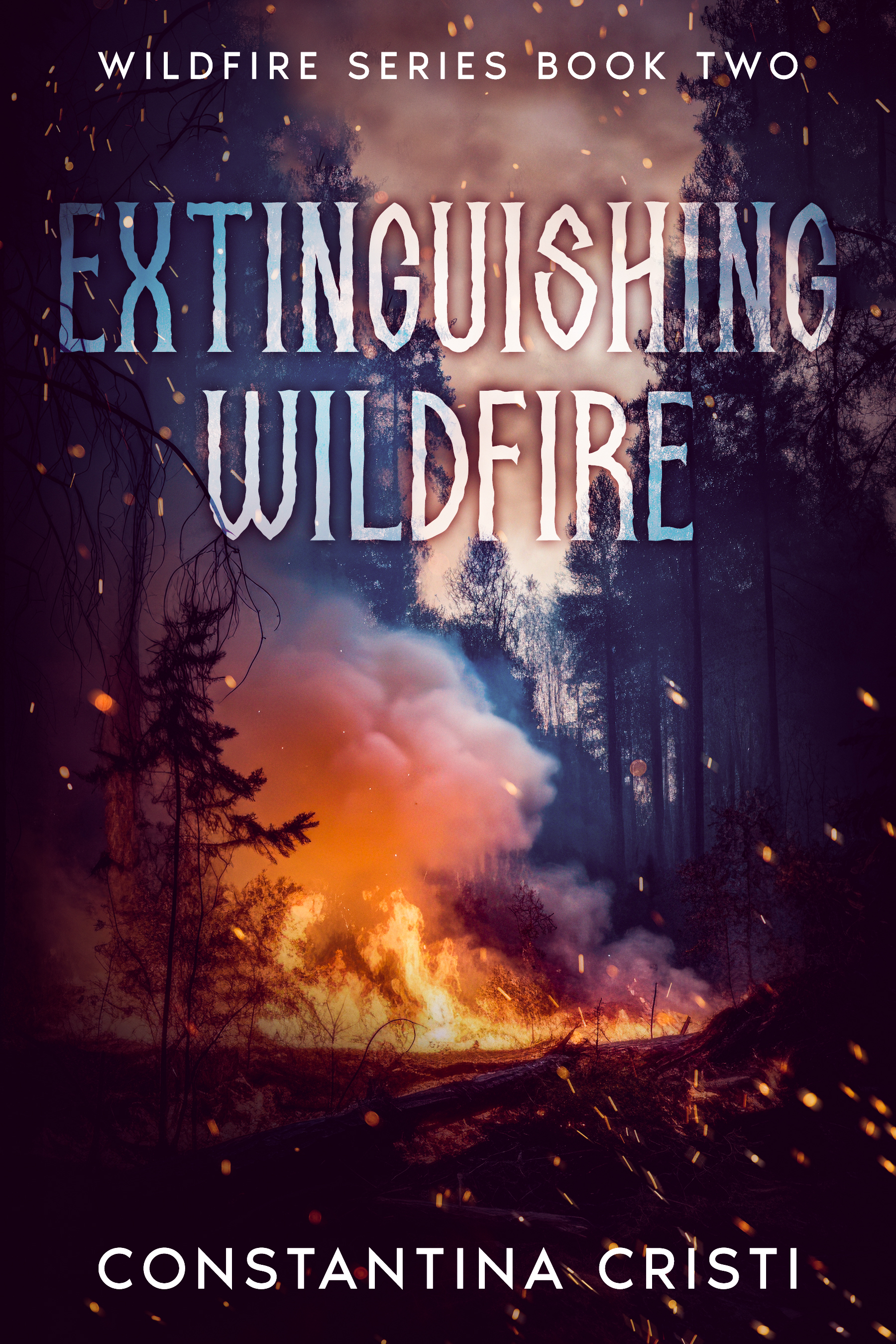 Wildfire book cover 2