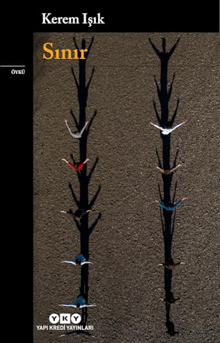 Sınır book cover