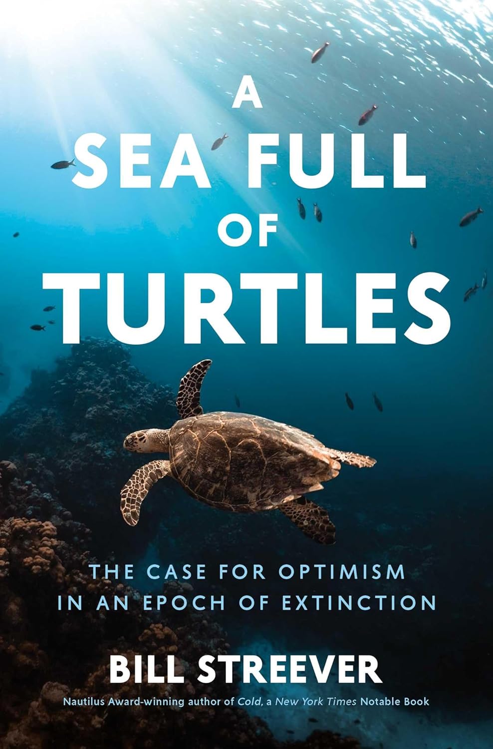 A Sea Full of Turtles: The Search for Optimism in an Epoch of Extinction