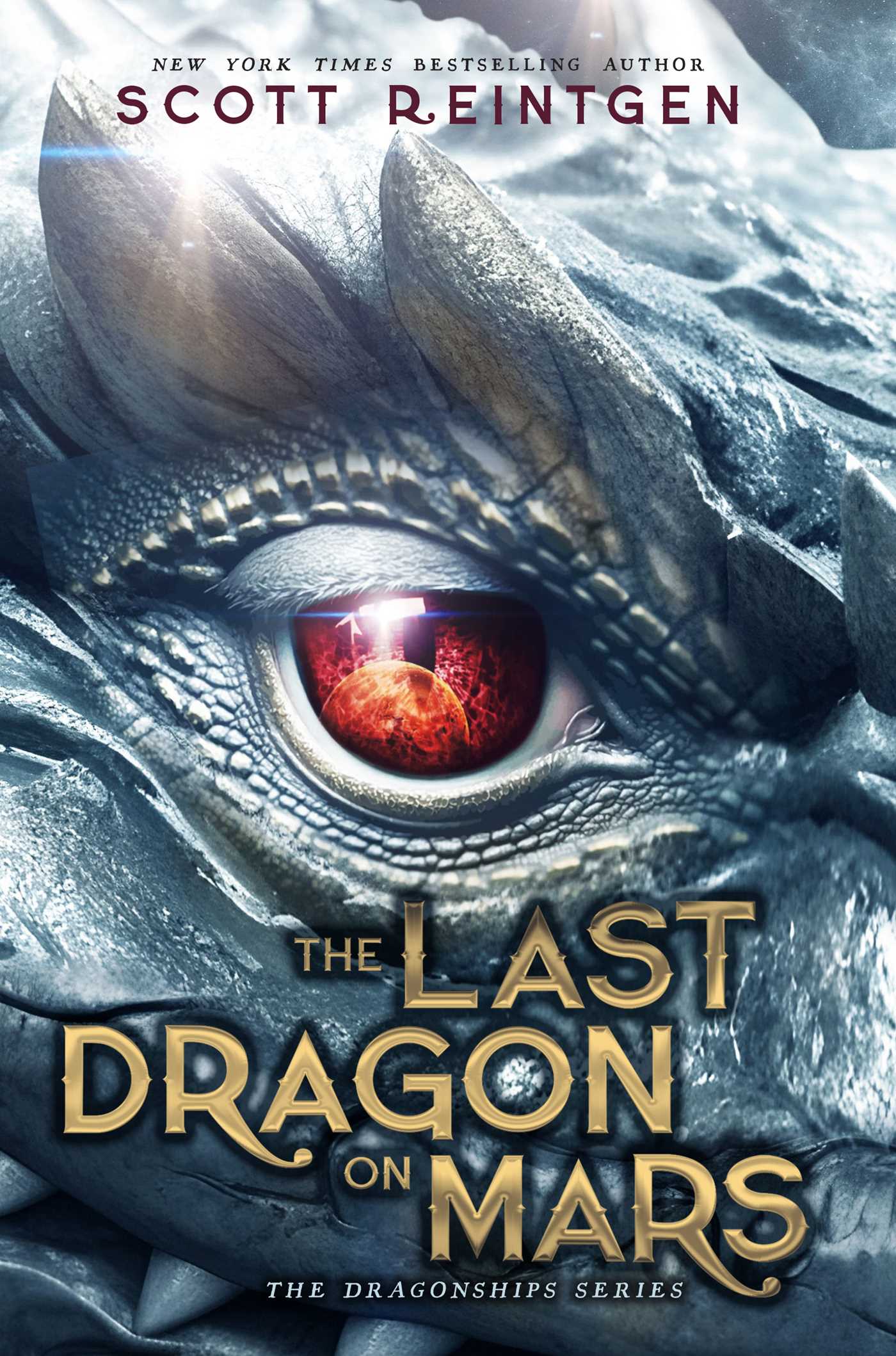 The Dragonships book cover 1