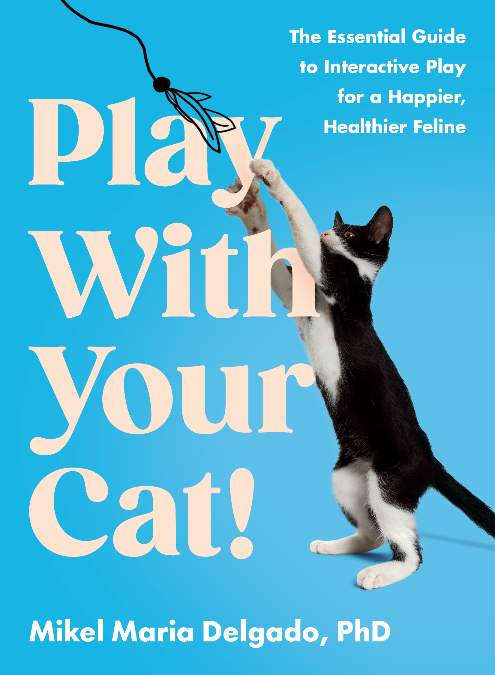 Play With Your Cat!: The expert guide to a happier and healthier feline