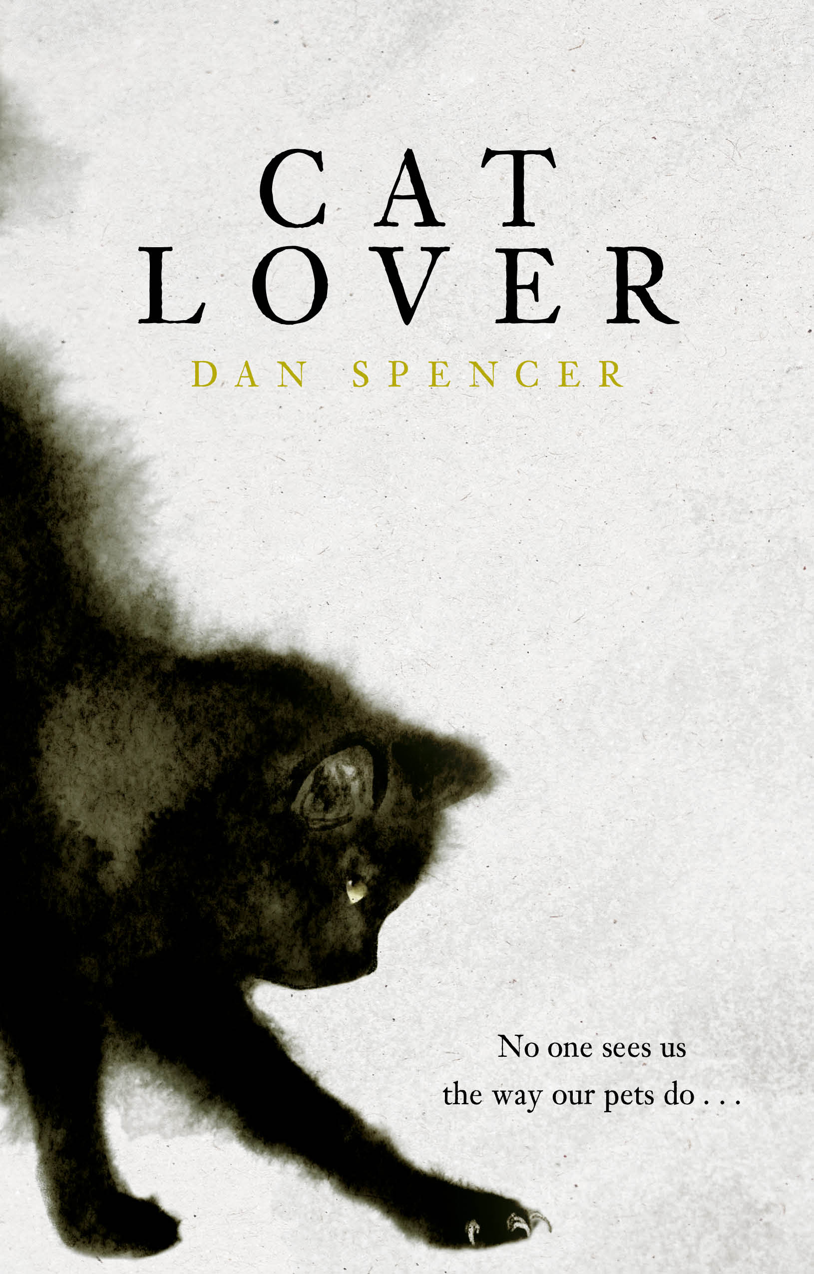 Cat Lover book cover