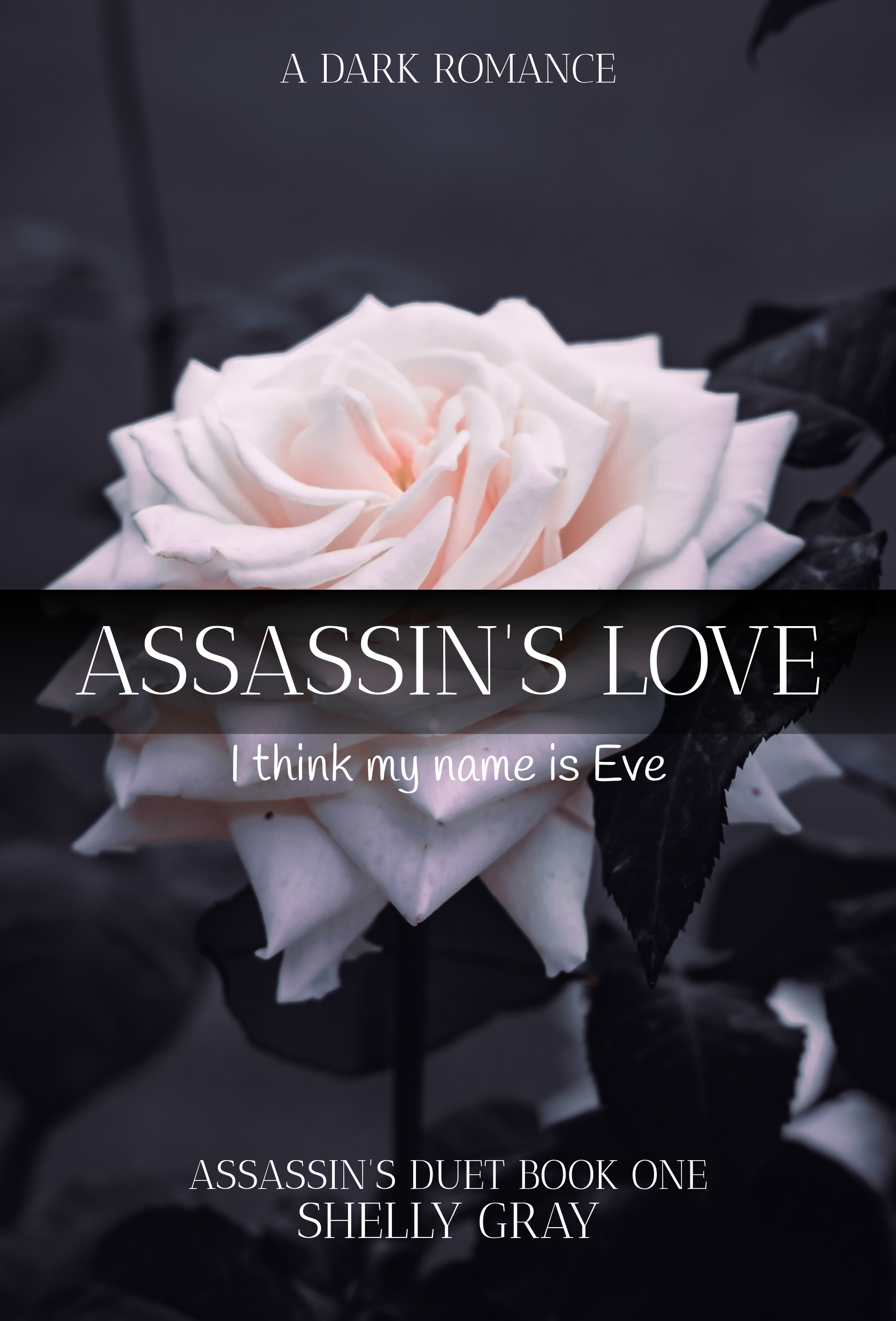 Assassin's Love