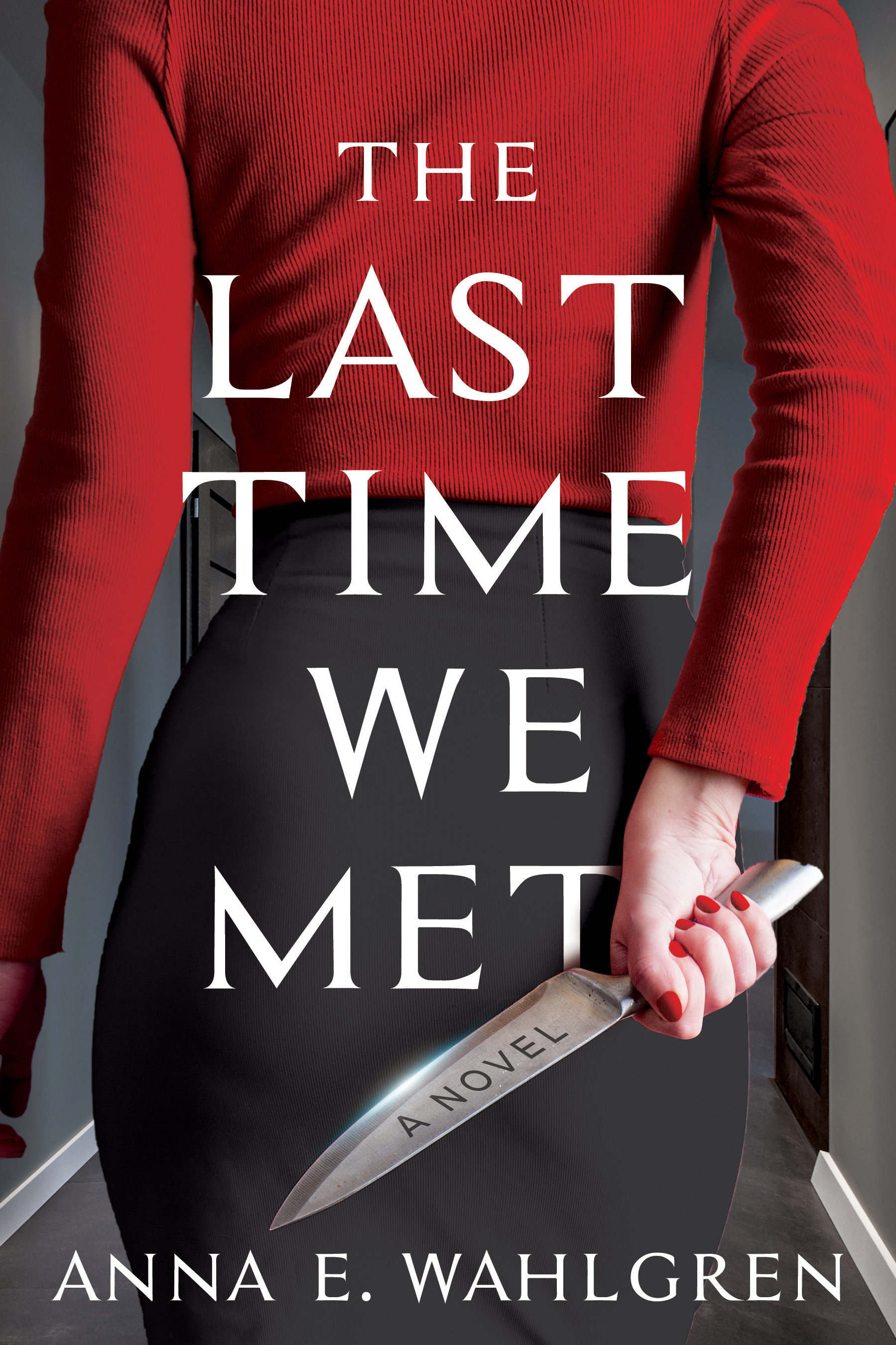 The Last Time We Met by Anna E. Wahlgren Goodreads