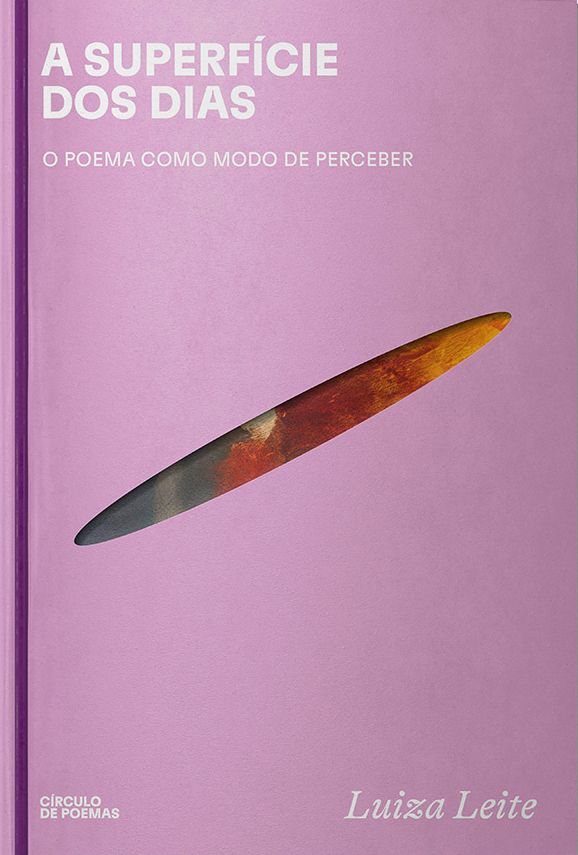 A superfície dos dias: O poema como modo de perceber