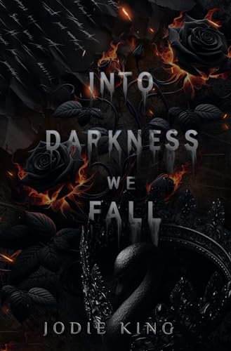 Into Darkness We Fall book cover