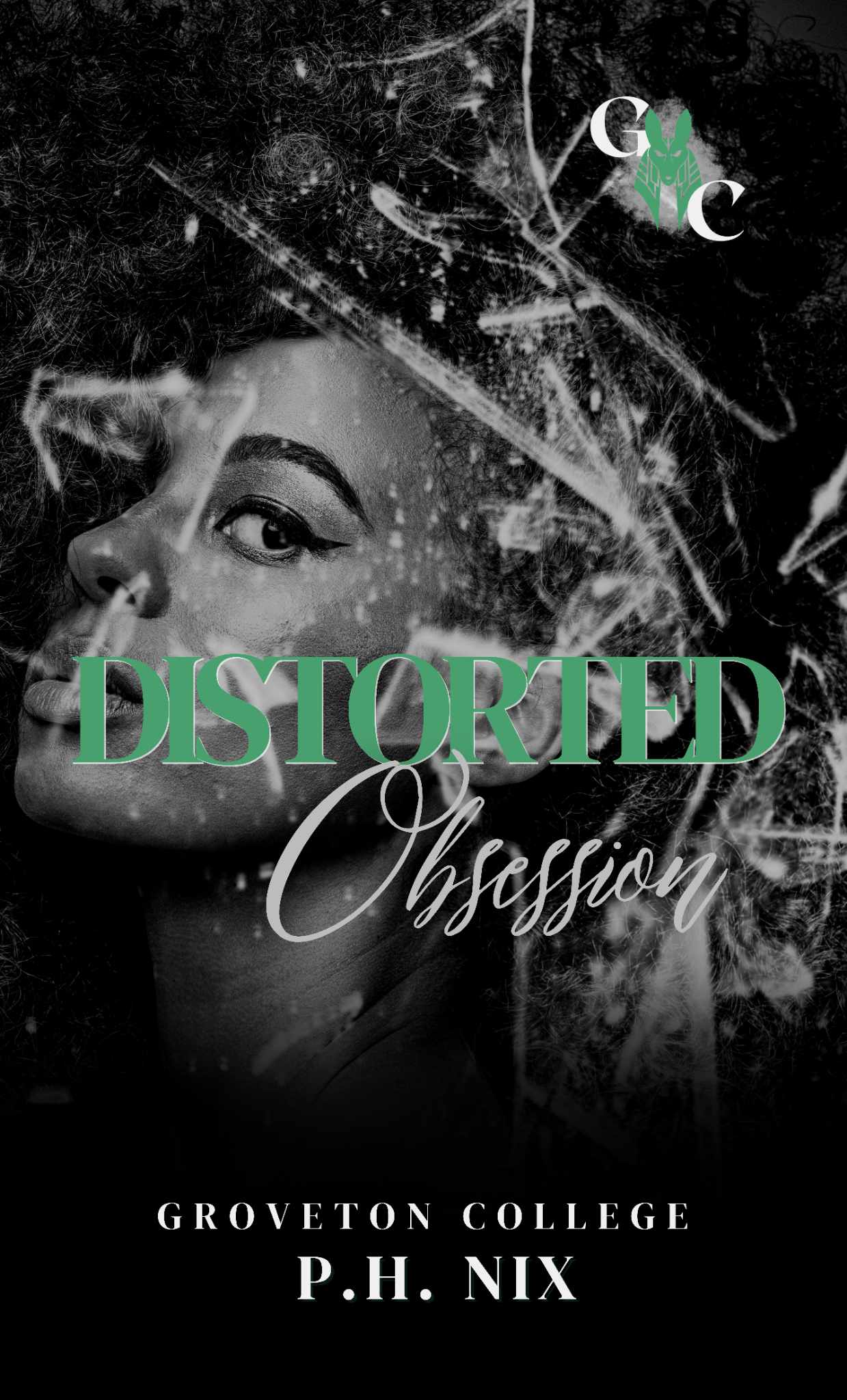 Distorted Obsession book cover