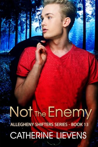 Not the Enemy book cover