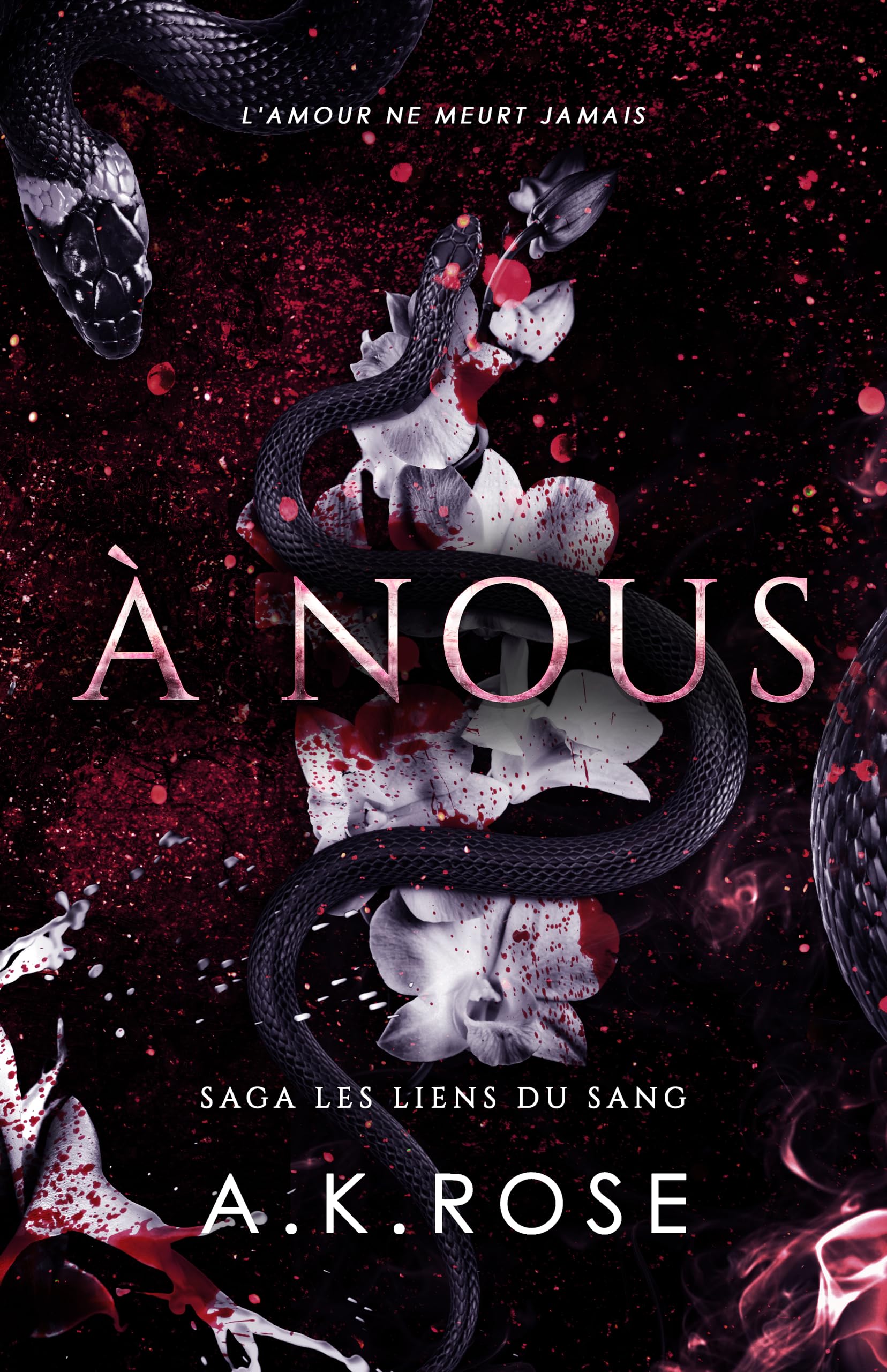 À Nous (Saga Les liens du sang t. 3)