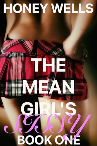 The Mean Girl's Sissy, Book One: New Boy Taken In