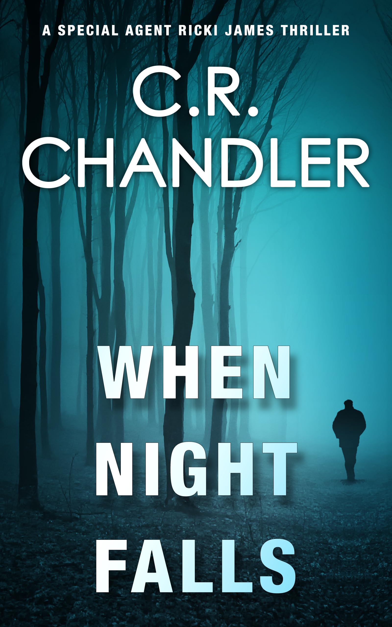When Night Falls