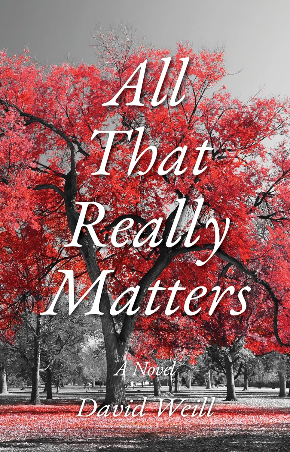 All That Really Matters by David Weill Goodreads
