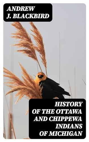 History of the Ottawa and Chippewa Indians of Michigan: A Grammar of ...