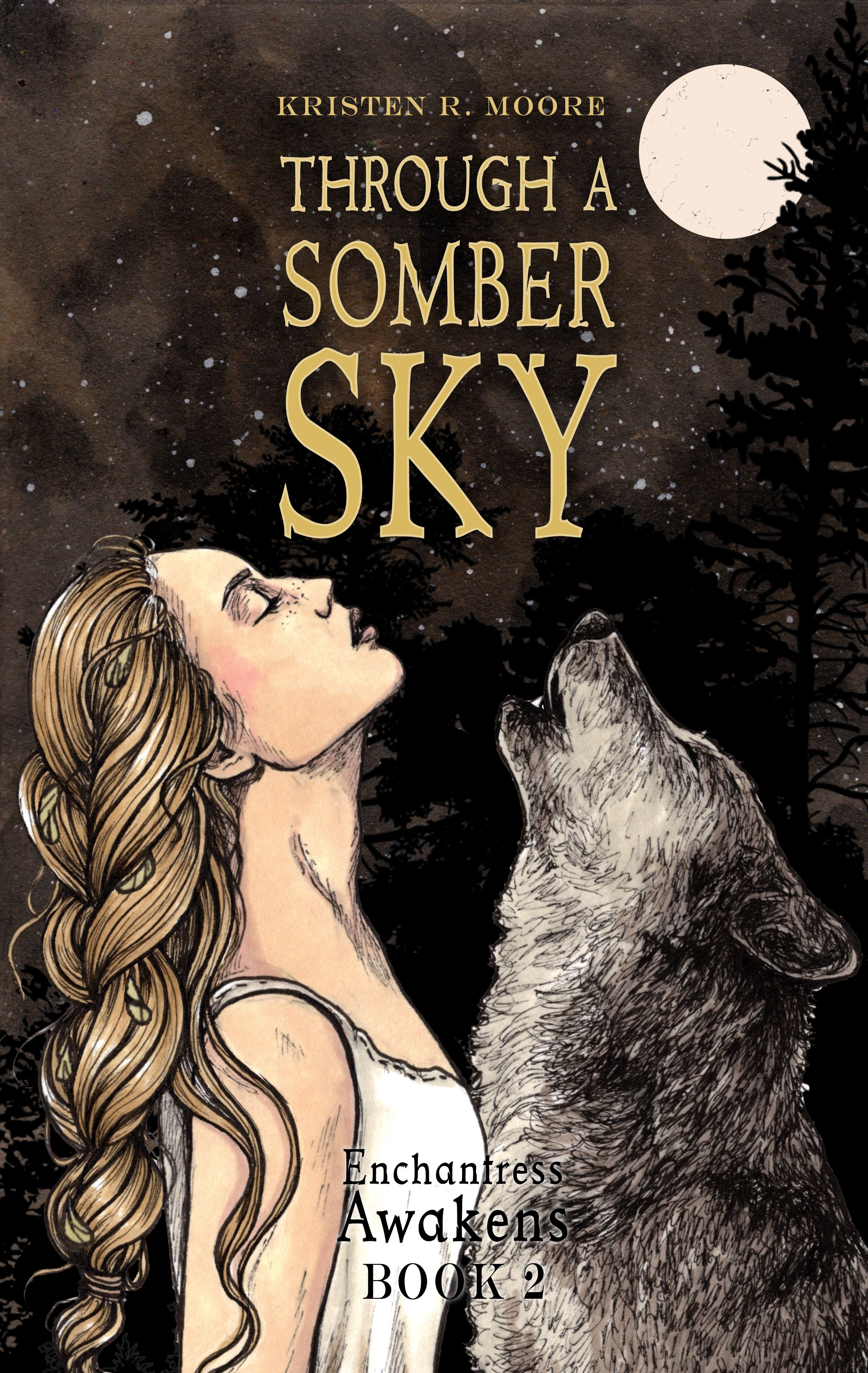 Through a Somber Sky
