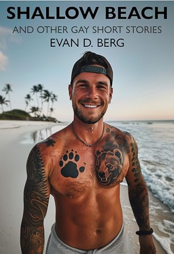 Shallow beach: and other gay short stories