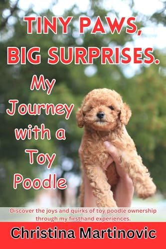 Tiny Paws, Big Surprises: My Journey with a Toy Poodle