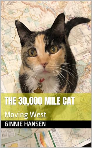 The 30,000 Mile Cat: Moving West