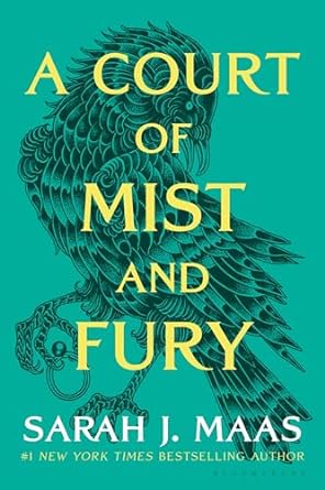A Court of Mist and Fury book cover