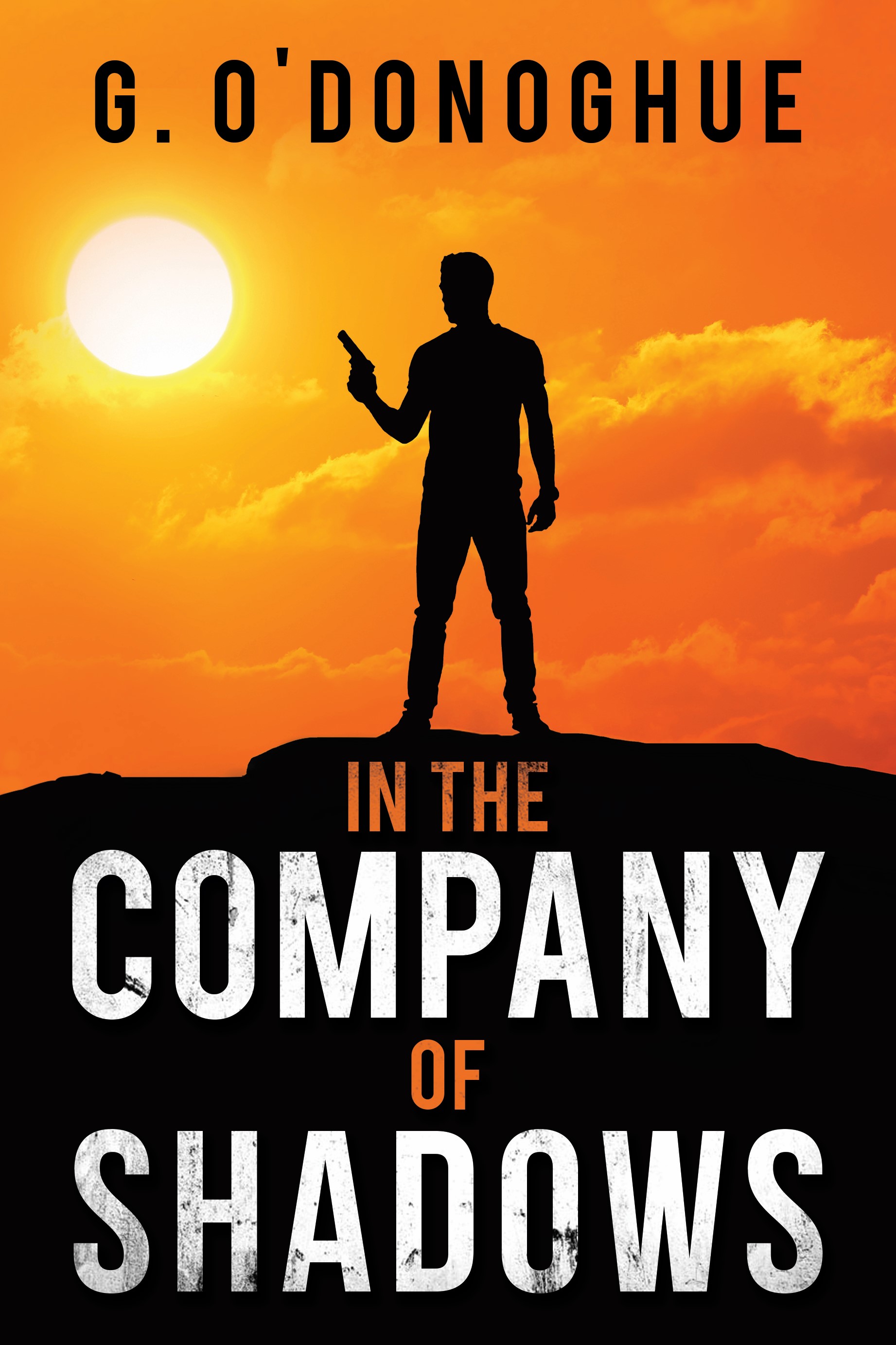 In the Company of Shadows by G. O'Donoghue | Goodreads
