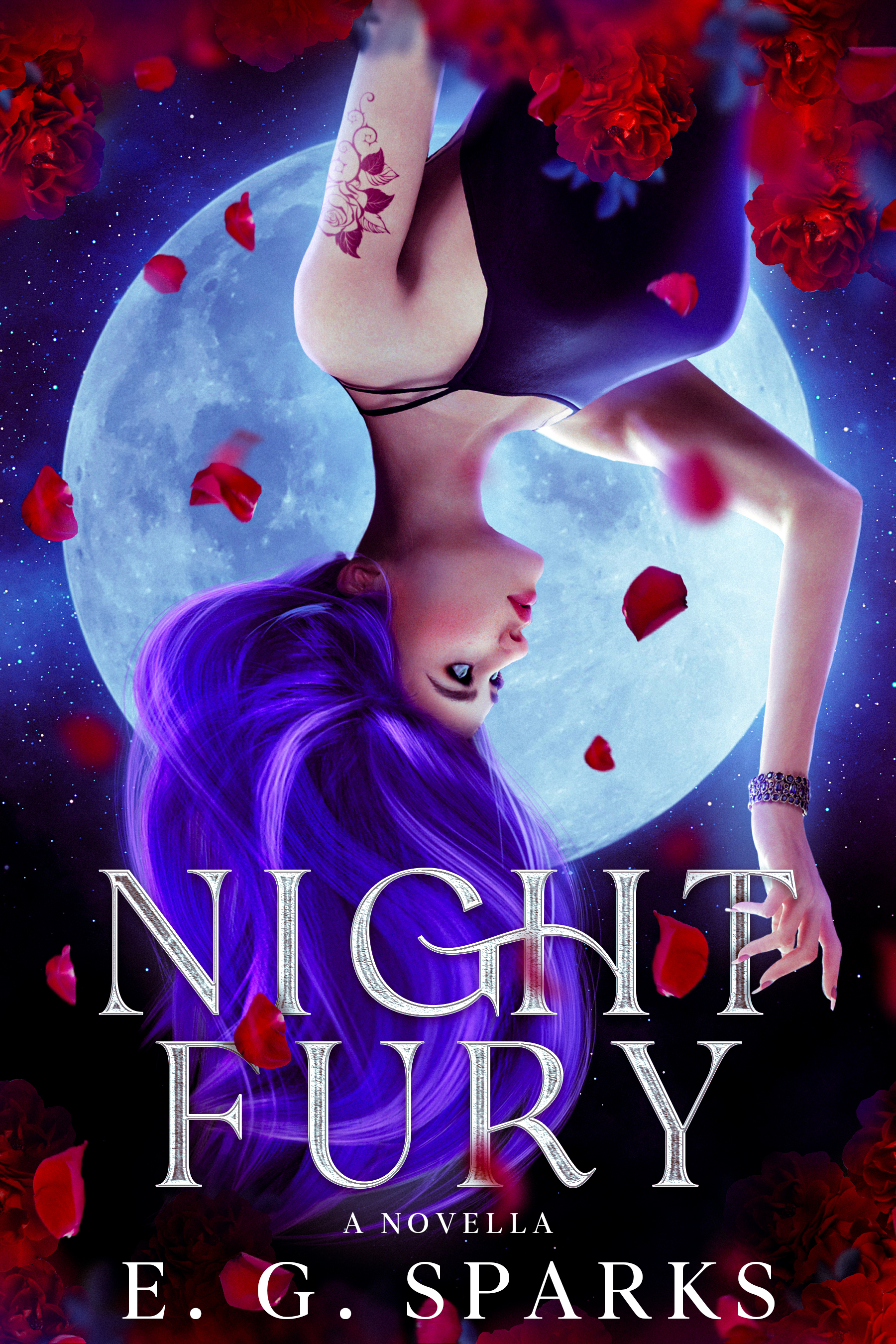 Night Fury