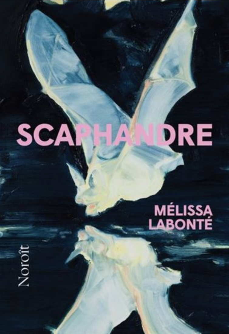 Scaphandre